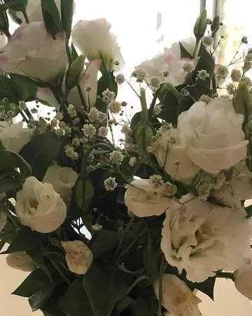 Comfortable Flat In * רומא